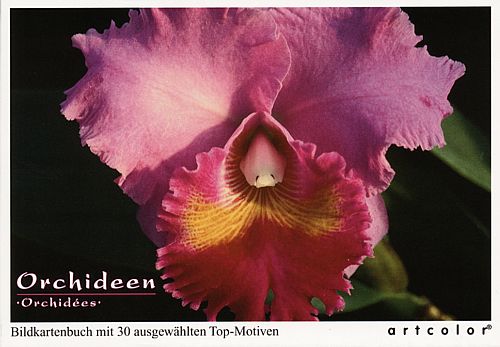 Postkartenbuch Orchideen