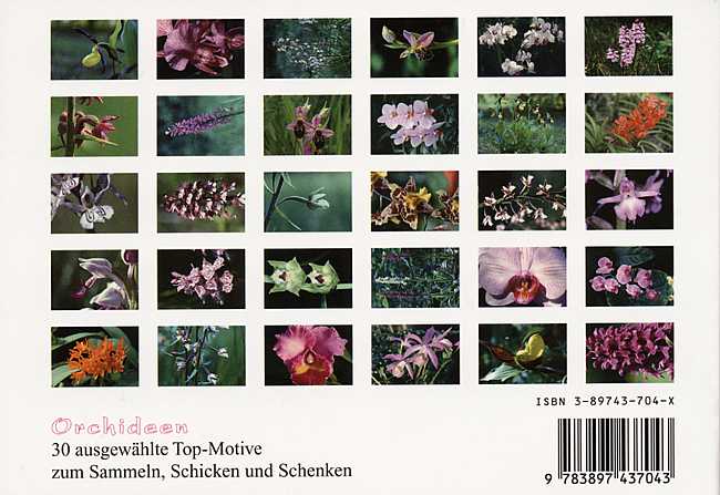 Postkartenbuch Orchideen