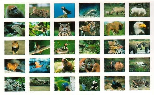 Postkartenbuch Bedrohte Tiere