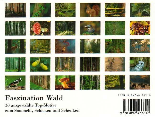 Postkartenbuch Faszination Wald