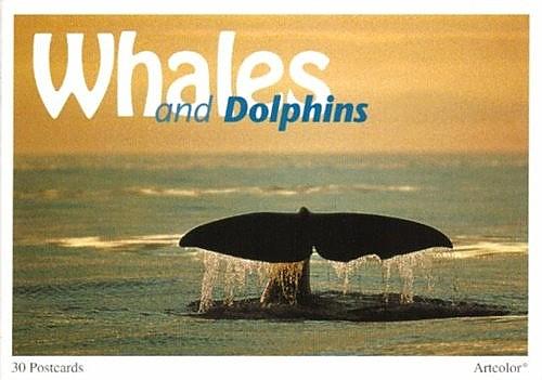 Postkartenbuch Wale 6 Delphine