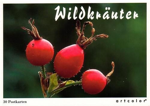 Postkartenbuch Wildkräuter